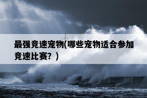 最強競速寵物，哪些寵物適合參加競速比賽？-圖1