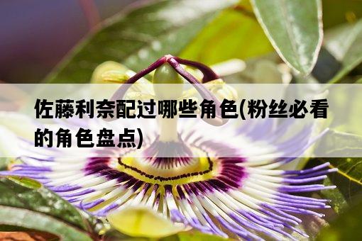 佐藤利奈配過哪些角色，粉絲必看的角色盤點-圖1