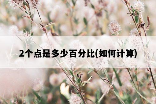 2個點是多少百分比，如何計算-圖1