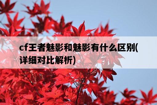 cf王者魅影和魅影有什么區別，詳細對比解析-圖1