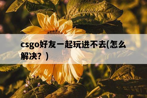 csgo好友一起玩進不去，怎么解決？-圖1
