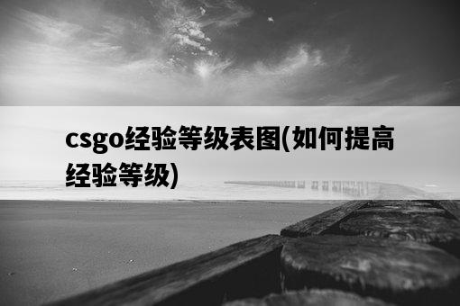 csgo經驗等級表圖，如何提高經驗等級-圖1