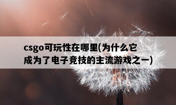 csgo可玩性在哪里，為什么它成為了電子競技的主流游戲之一-圖1