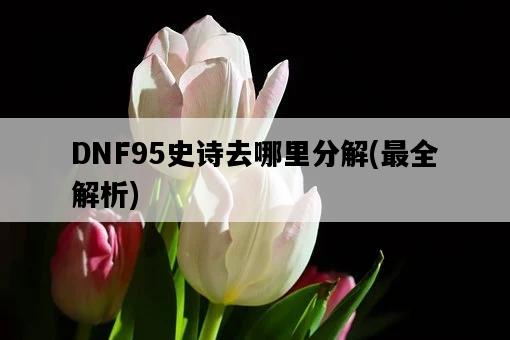 DNF95史詩去哪里分解，最全解析-圖1