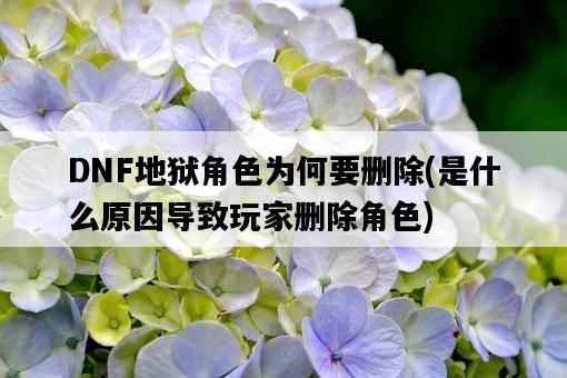 DNF地獄角色為何要刪除，是什么原因導致玩家刪除角色-圖1