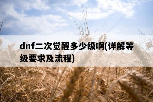 dnf二次覺醒多少級啊，詳解等級要求及流程-圖1