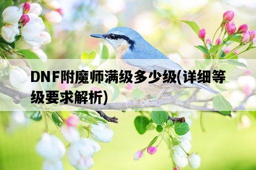 DNF附魔師滿級多少級，詳細等級要求解析-圖1