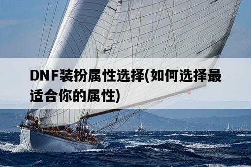 DNF裝扮屬性選擇，如何選擇最適合你的屬性-圖1