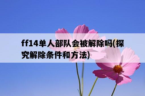 ff14單人部隊會被解除嗎，探究解除條件和方法-圖1