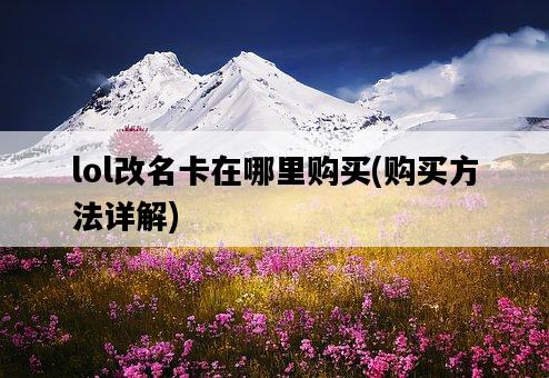 lol改名卡在哪里購買，購買方法詳解-圖1
