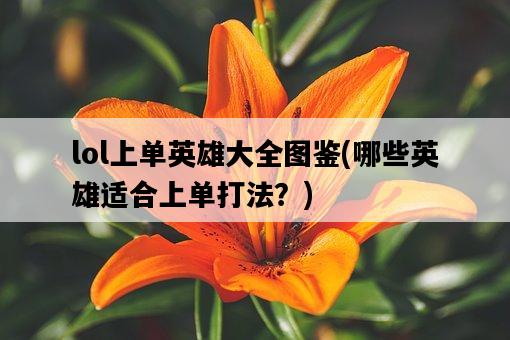 lol上單英雄大全圖鑒，哪些英雄適合上單打法？-圖1