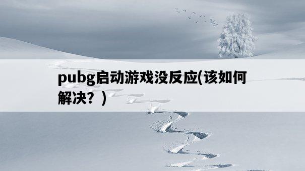 pubg啟動游戲沒反應，該如何解決？-圖1