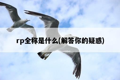 rp全稱是什么，解答你的疑惑-圖1