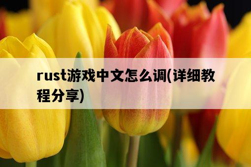 rust游戲中文怎么調，詳細教程分享-圖1