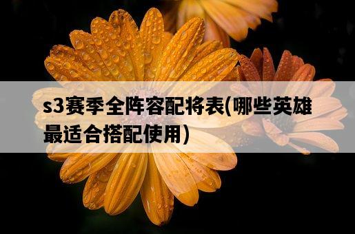 s3賽季全陣容配將表，哪些英雄最適合搭配使用-圖1