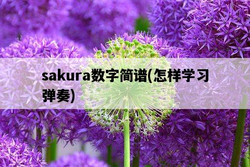 sakura數字簡譜，怎樣學習彈奏-圖1