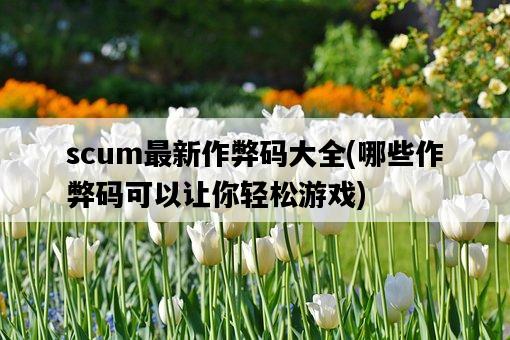 scum最新作弊碼大全，哪些作弊碼可以讓你輕松游戲-圖1