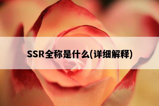 SSR全稱是什么，詳細解釋-圖1
