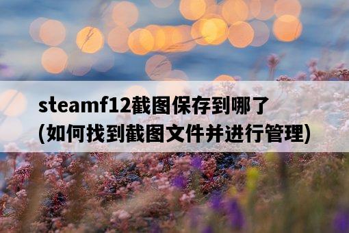 steamf12截圖保存到哪了，如何找到截圖文件并進行管理-圖1