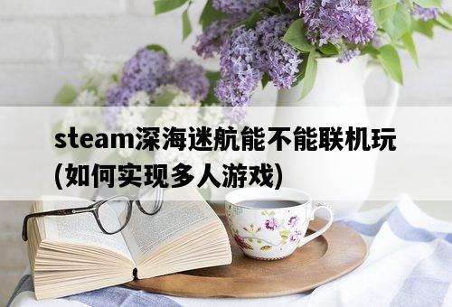 steam深海迷航能不能聯機玩，如何實現多人游戲-圖1