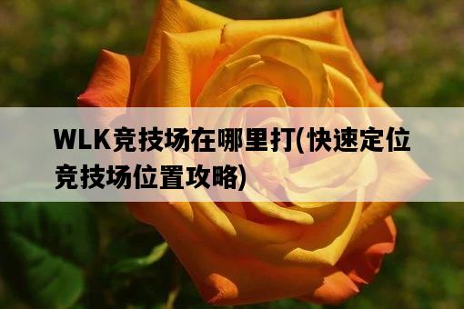 WLK競技場在哪里打，快速定位競技場位置攻略-圖1