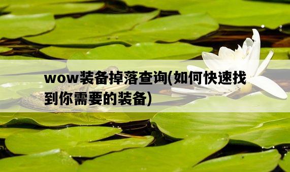 wow裝備掉落查詢，如何快速找到你需要的裝備-圖1
