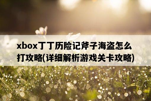 xbox丁丁歷險記斧子海盜怎么打攻略，詳細解析游戲關卡攻略-圖1