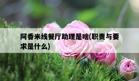 阿香米線餐廳助理是啥，職責與要求是什么-圖1