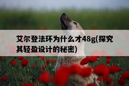 艾爾登法環為什么才48g，探究其輕盈設計的秘密-圖1