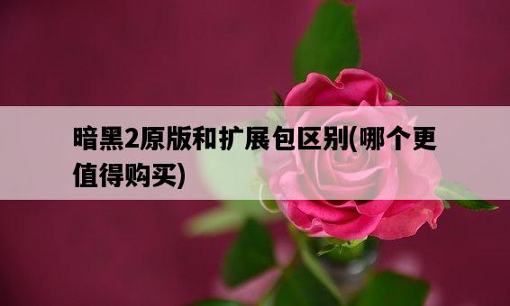 暗黑2原版和擴展包區別，哪個更值得購買-圖1