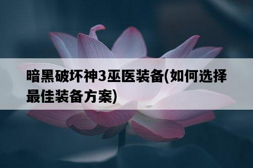 暗黑破壞神3巫醫裝備，如何選擇最佳裝備方案-圖1