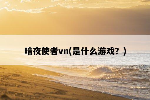 暗夜使者vn，是什么游戲？-圖1