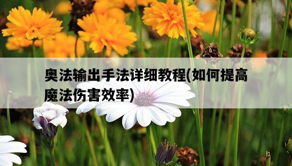 奧法輸出手法詳細教程，如何提高魔法傷害效率-圖1