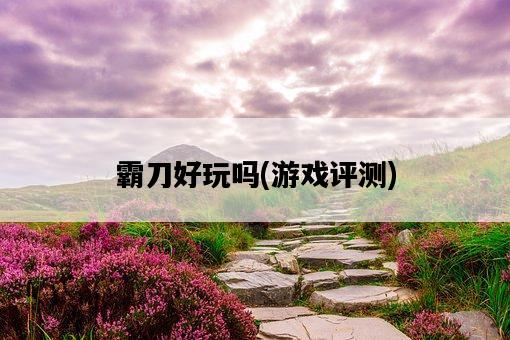 霸刀好玩嗎，游戲評測-圖1