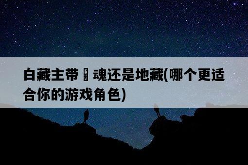 白藏主帶薙魂還是地藏，哪個更適合你的游戲角色-圖1