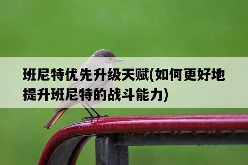 班尼特優先升級天賦，如何更好地提升班尼特的戰斗能力-圖1