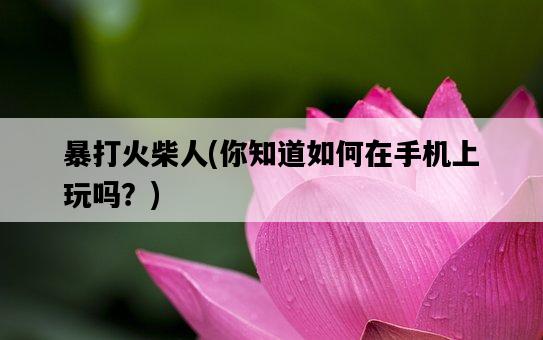 暴打火柴人，你知道如何在手機上玩嗎？-圖1