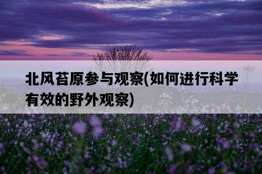 北風苔原參與觀察，如何進行科學有效的野外觀察-圖1