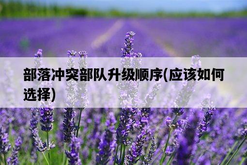 部落沖突部隊升級順序，應該如何選擇-圖1
