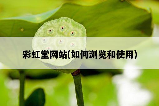 彩虹堂網站，如何瀏覽和使用-圖1