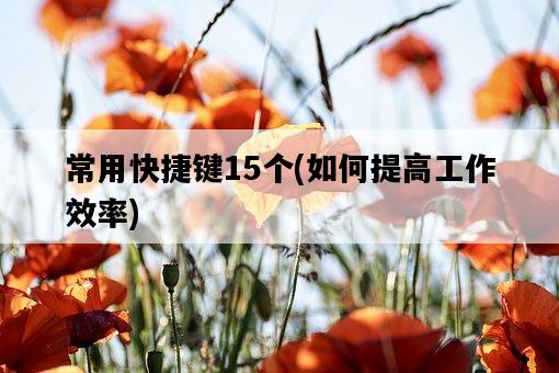 常用快捷鍵15個，如何提高工作效率-圖1