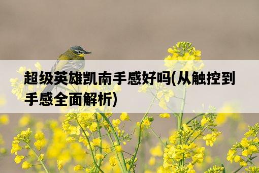 超級英雄凱南手感好嗎，從觸控到手感全面解析-圖1