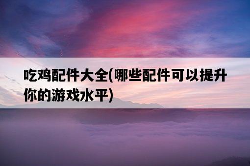 吃雞配件大全，哪些配件可以提升你的游戲水平-圖1