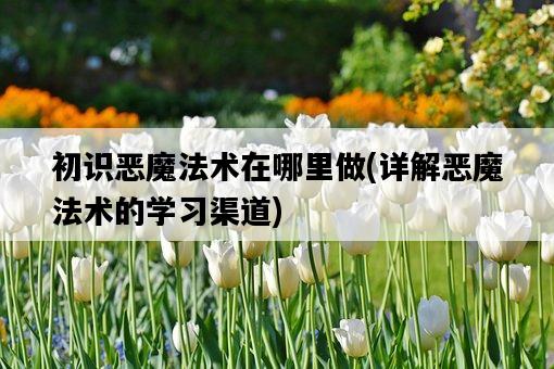 初識惡魔法術在哪里做，詳解惡魔法術的學習渠道-圖1