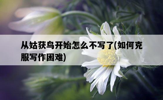 從姑獲鳥開始怎么不寫了，如何克服寫作困難-圖1