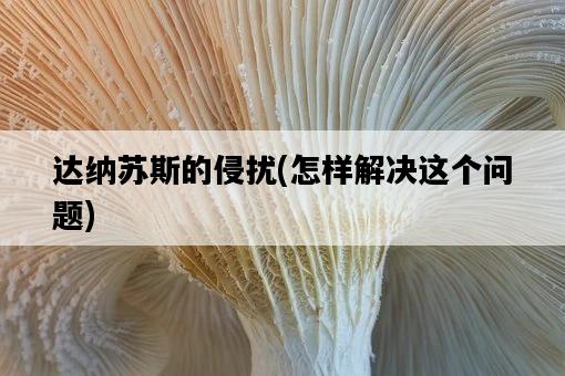 達納蘇斯的侵擾，怎樣解決這個問題-圖1