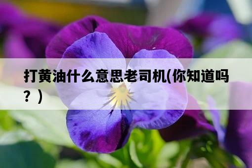 打黃油什么意思老司機，你知道嗎？-圖1
