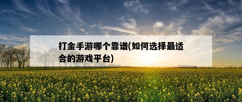 打金手游哪個靠譜，如何選擇最適合的游戲平臺-圖1