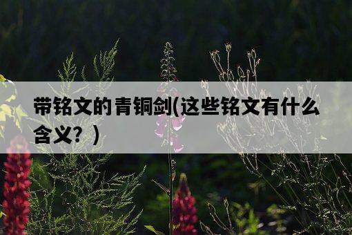 帶銘文的青銅劍，這些銘文有什么含義？-圖1