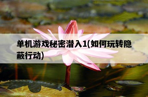單機游戲秘密潛入1，如何玩轉隱蔽行動-圖1